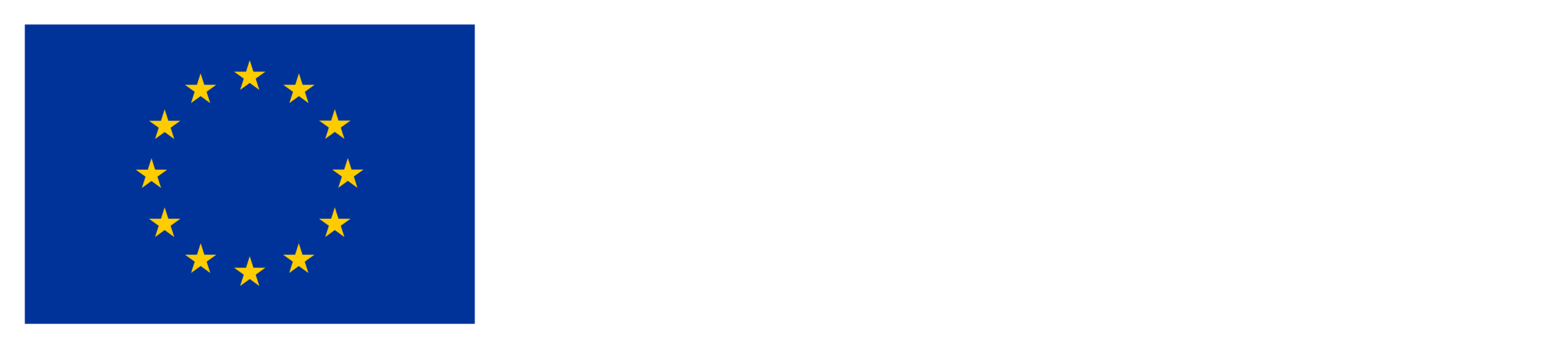 EU:n osarahoittama -lippulogo.