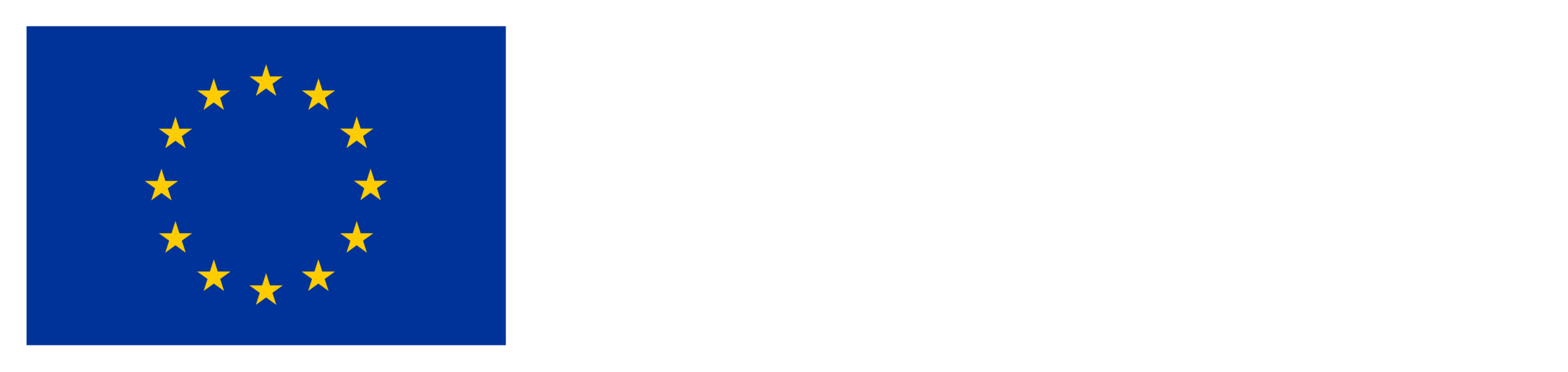 EU:n osarahoittama -lippulogo.